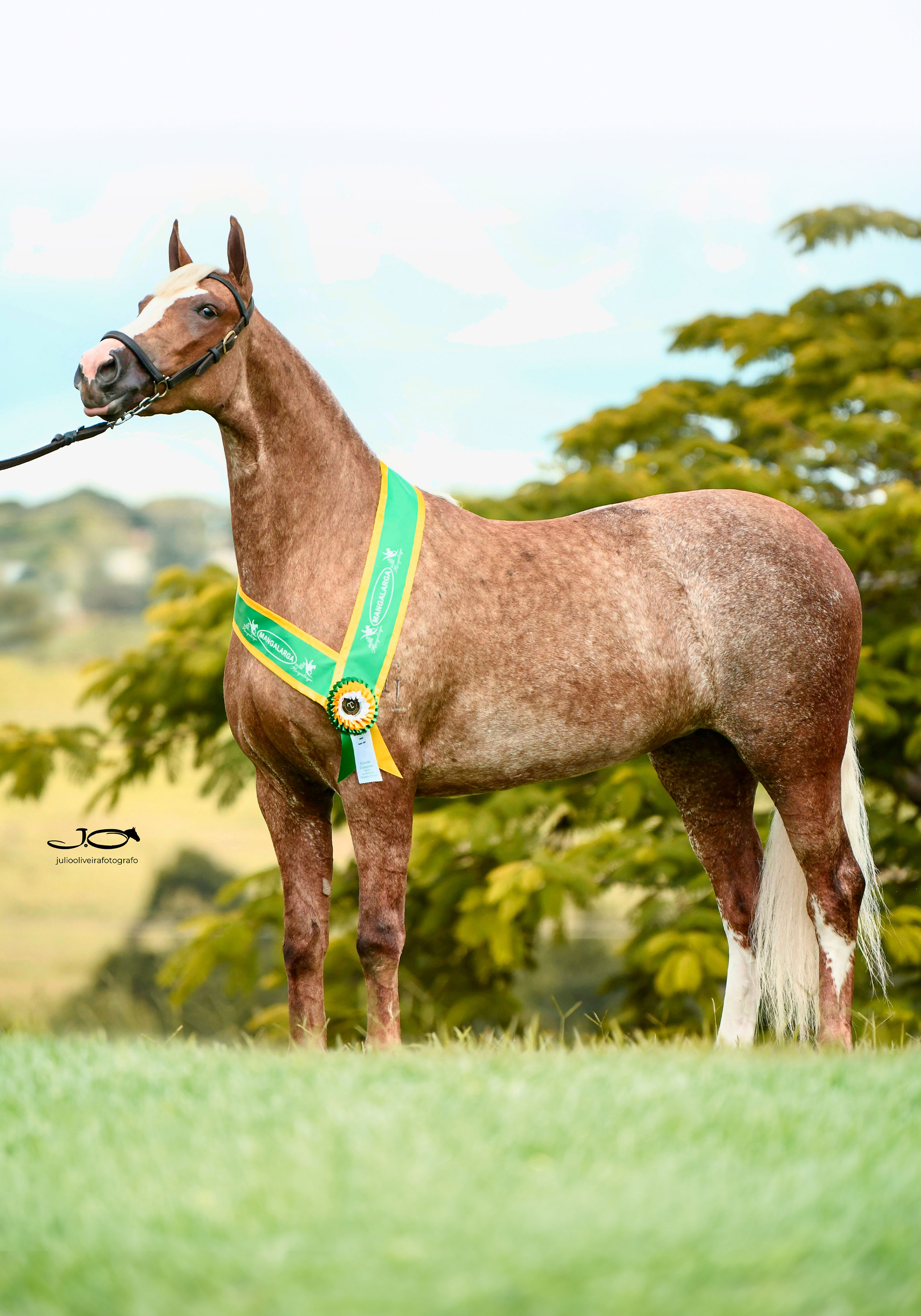 Finlandesa da Tarlim